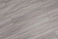 Domaine Gypsy Grey 7x60 EIR Painted Bevel 20mil WPC Vinyl Flooring