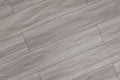Domaine Gypsy Grey 7x60 EIR Painted Bevel 20mil WPC Vinyl Flooring
