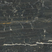 Leonardo Black 35.4x35.4 Porcelain Tile