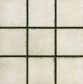 Earth Stone Moon White 24x48 2cm Stone Look Porcelain Paver