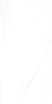 EC Calacatta Gold 12x24 Polished Marble Look Porcelain Tile