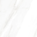 EC Calacatta Gold 24x24 Polished Marble Look Porcelain Tile