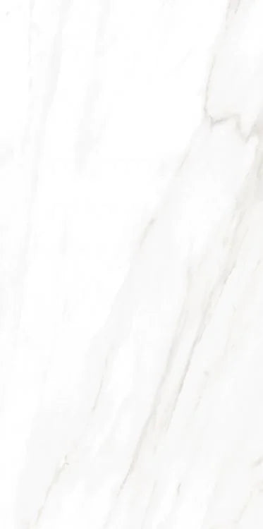 EC Calacatta Gold 24x48 Matte Marble Look Porcelain Tile