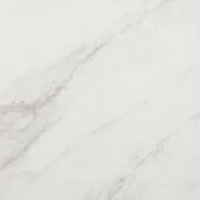 EC Snow 48x48 Polished Porcelain Tile