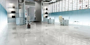 EC Snow 48x48 Polished Porcelain Tile