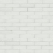 Eden Bianco 3x11 (New Packaging) Porcelain Tile