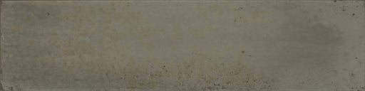 Eden Fango 3x11 Porcelain Tile