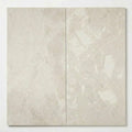 Ege Royale 18x36 Sandblasted Marble Tile close-up
