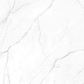 Elegance Marble Pearl 24x24 Matte Porcelain Tile