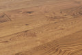 Elysian Collective Tan 7-1/2xRL (24-75) Wire-Brushed Urethane Oak Wood Flooring