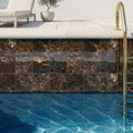 Emperador Dark (Spanish) Marble 4x4 Polished Tile — Swimming Pool waterline