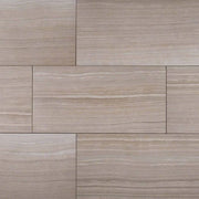 Eramosa Silver 12x24 Matte Porcelain Tile