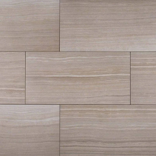Eramosa Silver 12x24 Matte Porcelain Tile