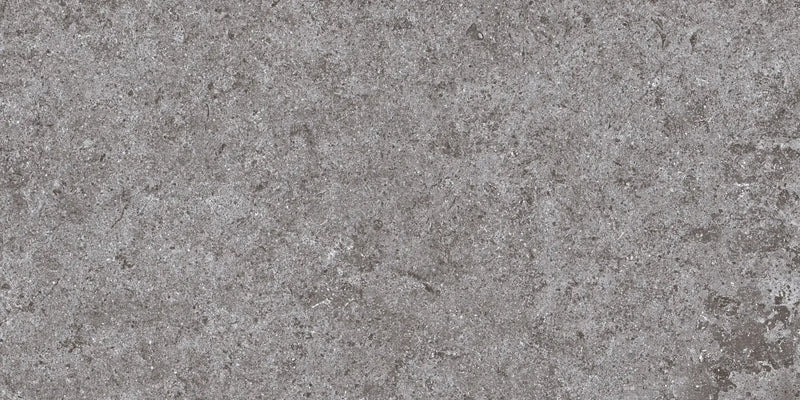 Lithology Edition Basalt Grey 12x24 Porcelain Tile