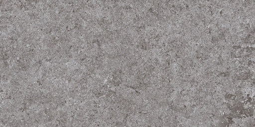 Lithology Edition Basalt Grey 12x24 Porcelain Tile