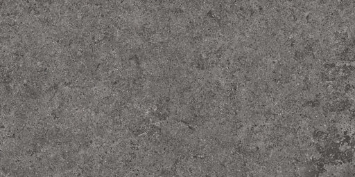 Lithology Edition Basalt Graphite 12x24 Porcelain Tile