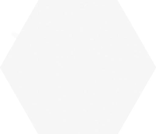 Exa White 5.9x6.7 Hexagon Matte Porcelain Tile