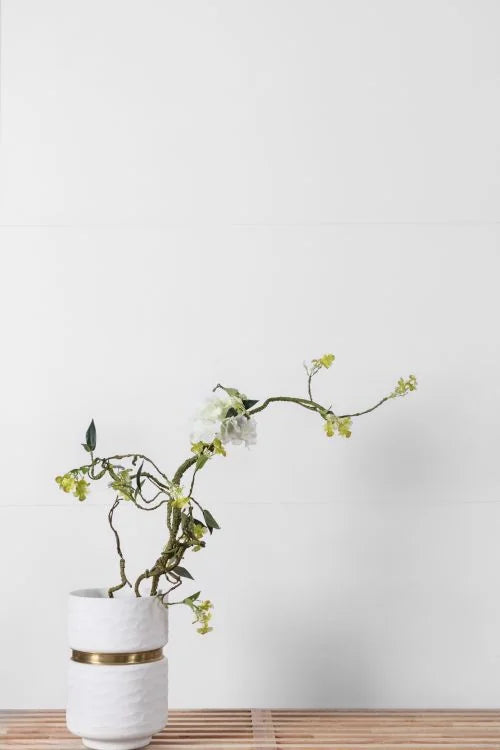 Extra White 18x36 Polished Porcelain Tile