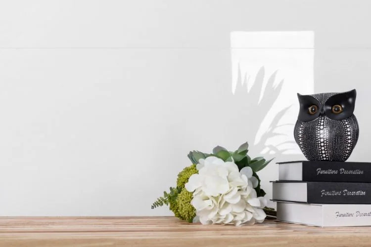 Extra White 24x48 Polished Porcelain Tile