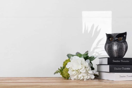 Extra White 24x48 Polished Porcelain Tile