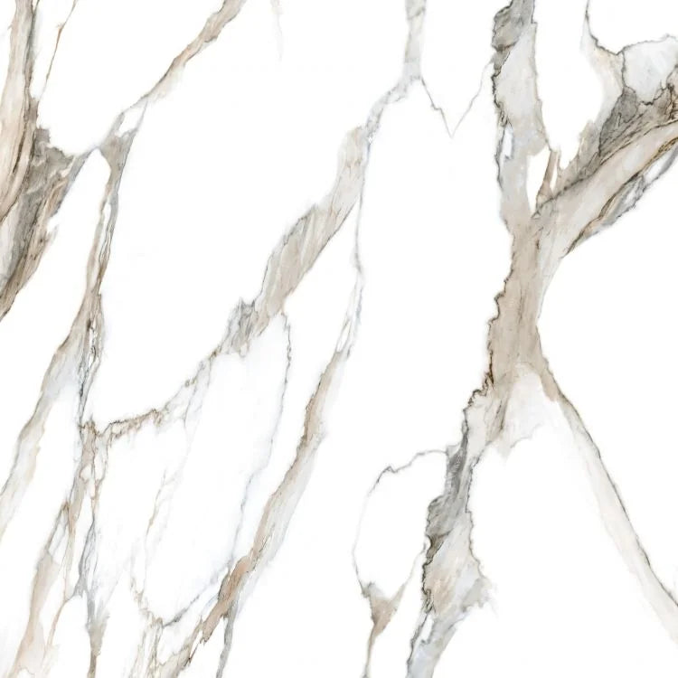 Fantasy Calacatta Topo 48x48 Polished Marble Look Porcelain Tile