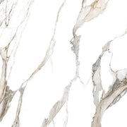 Fantasy Calacatta Topo 48x48 Polished Marble Look Porcelain Tile