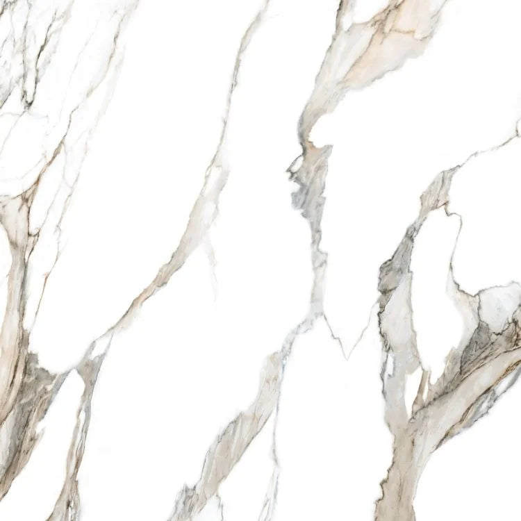 Fantasy Calacatta Topo 48x48 Polished Marble Look Porcelain Tile