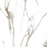 Fantasy Calacatta Topo 48x48 Polished Marble Look Porcelain Tile