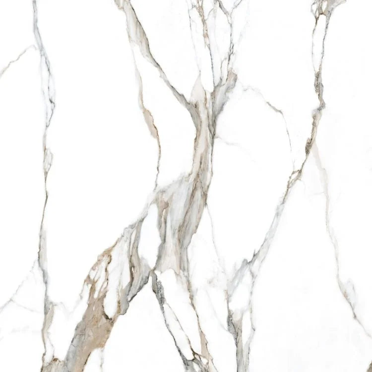 Fantasy Calacatta Topo 48x48 Polished Marble Look Porcelain Tile