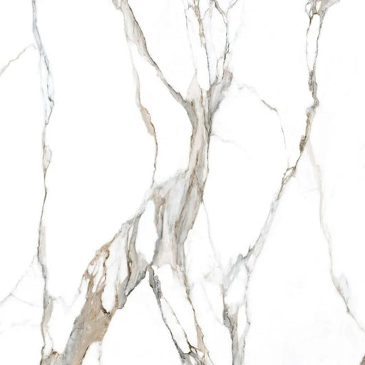Fantasy Calacatta Topo 48x48 Polished Marble Look Porcelain Tile