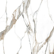 Fantasy Calacatta Topo 48x48 Polished Marble Look Porcelain Tile