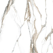 Fantasy Calacatta Topo 48x48 Polished Marble Look Porcelain Tile