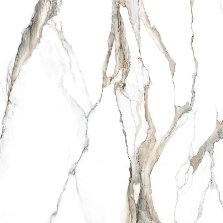 Fantasy Calacatta Topo 48x48 Polished Marble Look Porcelain Tile