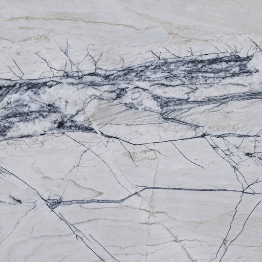 Fantasy Lux polished quartzite with a pale ivory-gray base and flowing dark gray veins.
