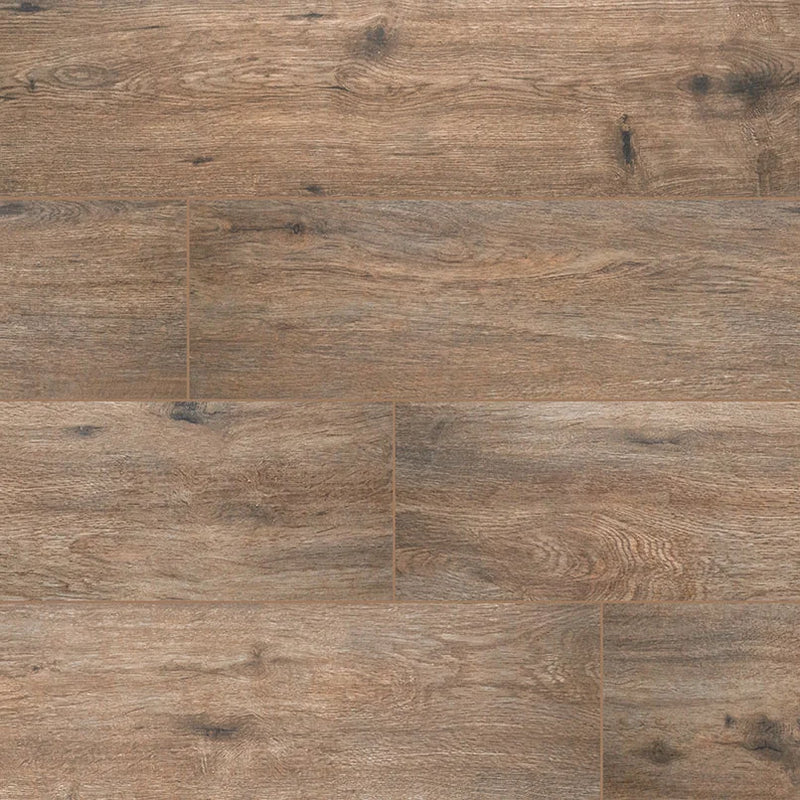 Arterra Fauna 8x47 Matte Porcelain Paver