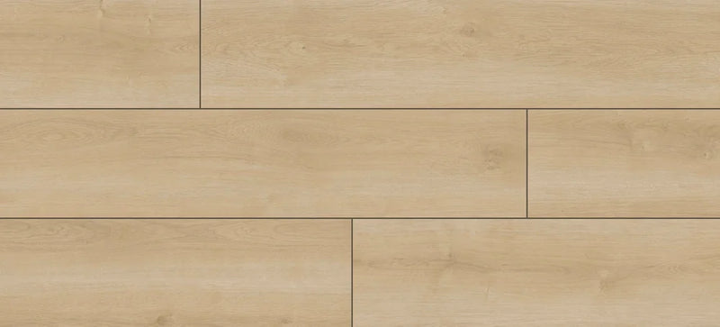 Forest Appalachia 9x60 SPC LVT Plank