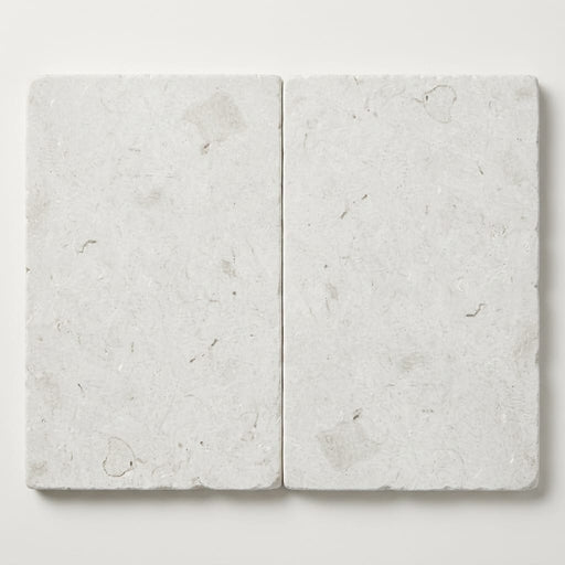 Freska Limestone Paver 16x24 Tumbled 2 inch close-up