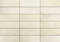 Gandia Medium 2x6 Matte Terracotta Tile