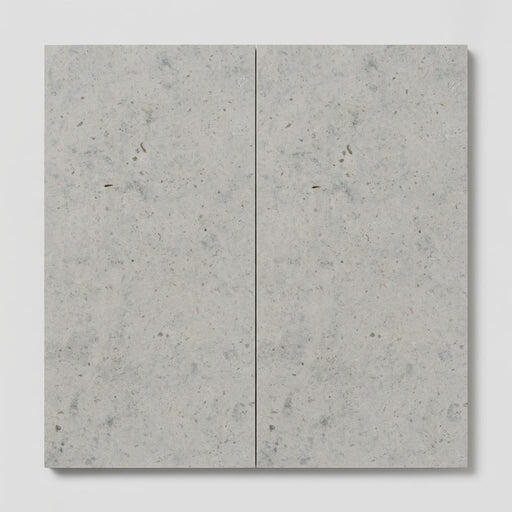 Gasgone Blue Limestone Tile 12x24 Honed close-up