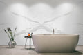 Glacier Statuary 32x96 Polished Set Large Format Porcelain Tile