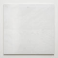 Glorious White 12x24 Polished Marble Tile close-up