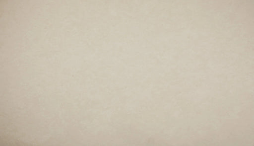 Gobi 12x24 Honed Limestone Tile