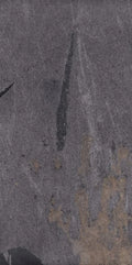 Grant Night 24x48 Porcelain Tile