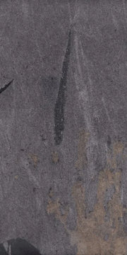 Grant Night 24x48 Porcelain Tile