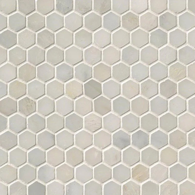 Greecian White 1 Hexagon Polished Marble Mosaic Tile