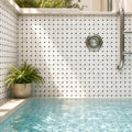 Greecian White 2x2 Octagon Polished Marble Mosaic Tile — Swimming Pool pool interior tiling