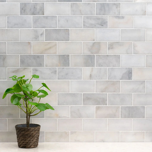 Greecian White 3x6 Polished Marble Subway Tile