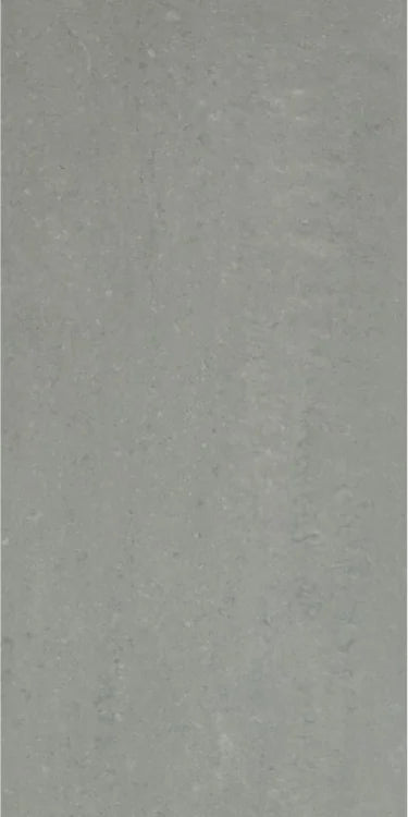 Grey Light 12x24 Polished Porcelain Tile