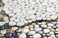 Growing Blue 11.5x11.5 Porcelain Mosaic