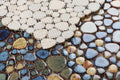 Growing Olive 11.50x11.50 Porcelain Mosaic
